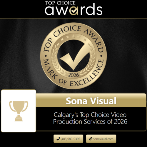 The Sona Visual Team