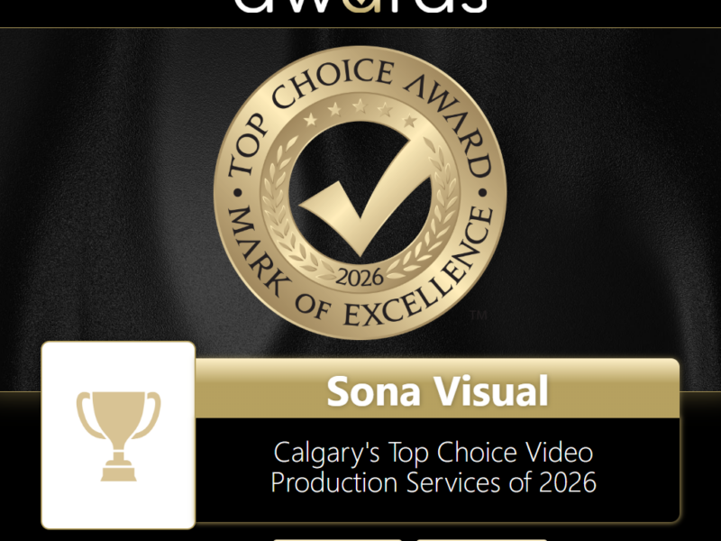 The Sona Visual Team